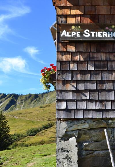 Alpe Stierhof – ein sonniges Plätzchen unterhalb der Ochsenhofer Köpfe