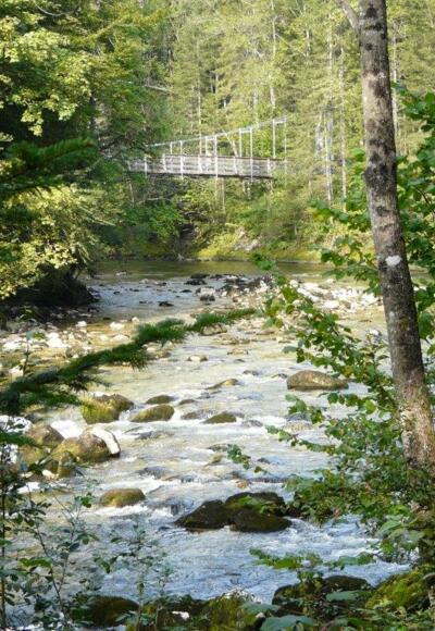 Das Wilde Koppental (mit Hängebrücke)