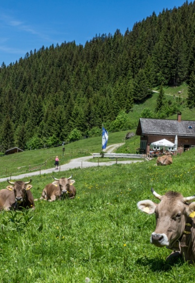 Blick auf Obere Wiesalpe