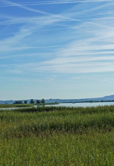 Vorarlberger Bodenseeufer