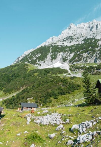 Scheffau_Kaiser-Hochalm_Wilder Kaiser