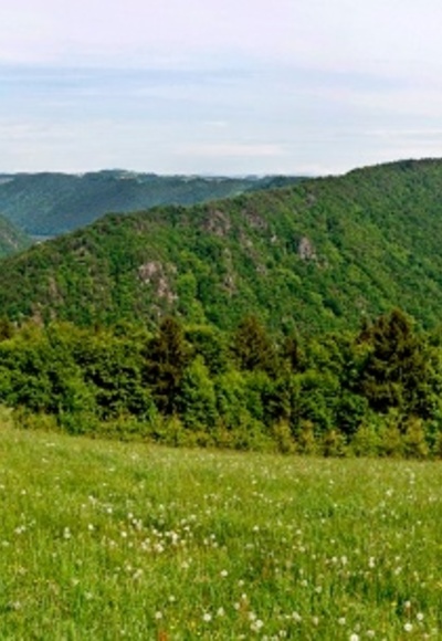 Panorama Kerschbaum