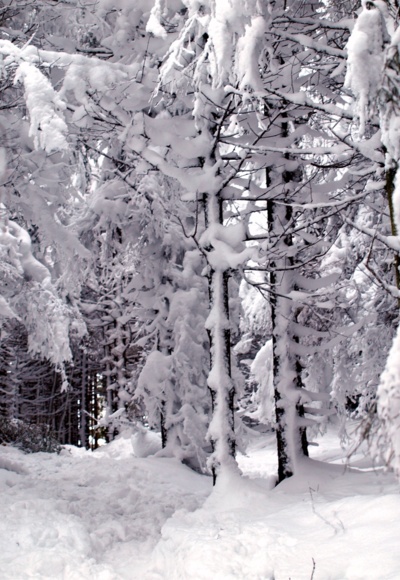 Tiefverschneiter Graben ins Tal