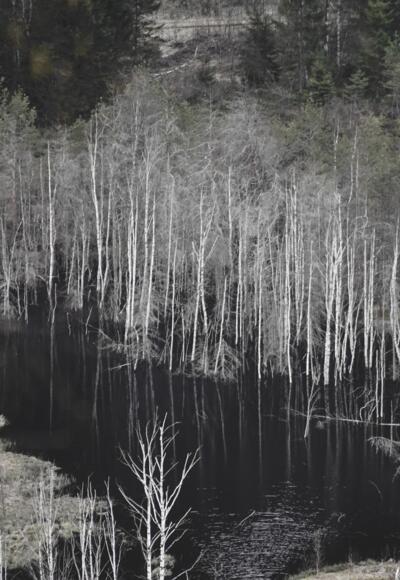 Blick  auf das Mandlinger Moor vom Weg Nr. 611 auf dem Mandlberg