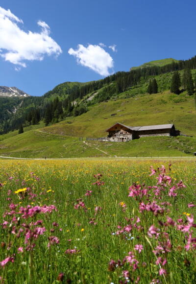 Hubalm in Hüttschlag