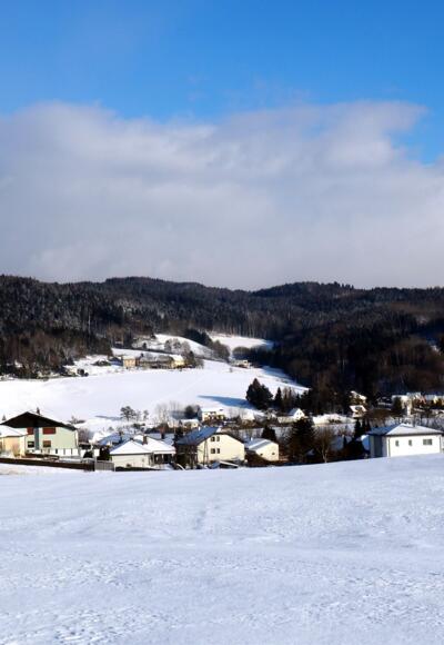 Hackl am Berg mit Kürnberg vom Güterweg Katzing