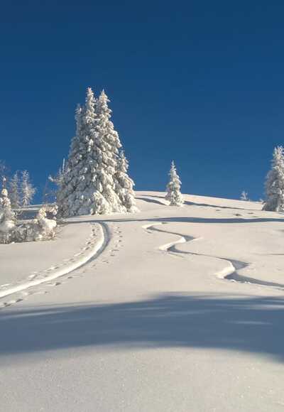 Skitour Gstoder