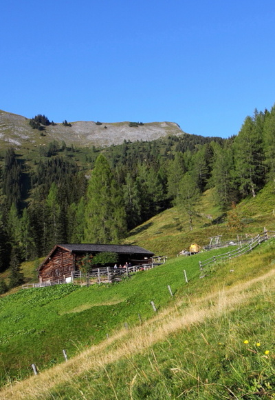 Karseggalm