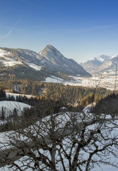 Ausblick vom Pinzgerhof im Winter