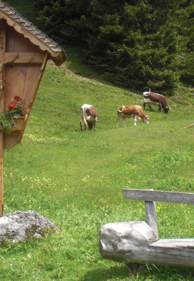 Wegkreuz Mußbachalm