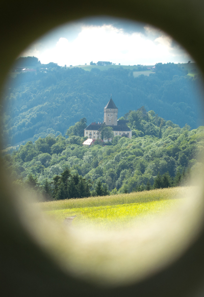Blick auf das Schloss Neuhaus an der Donau