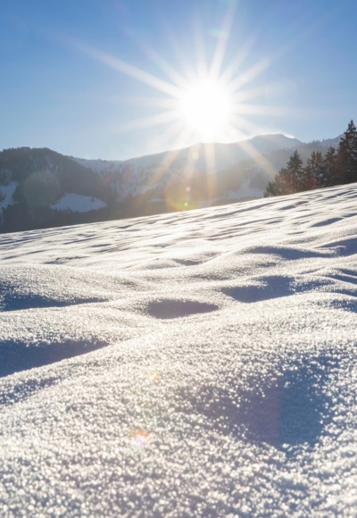 Reith Schneeglitzer