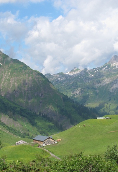 Die Batzenalpe, in deren altem Gebäude sich das Alpmuseum uf m Tannberg befindet. Dahinter ist die Walser Heimat uf m Büel zu erkennen. Im Hintergrund die Hochkünzelspitze