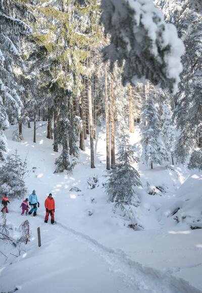 Winterwandern