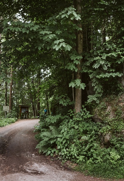 Eingang Fitnessweg