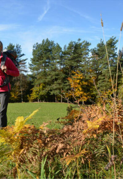 wandern_muehlviertel