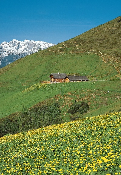 Brandstättalm