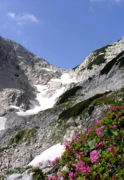 Rückblick ins Sigistal