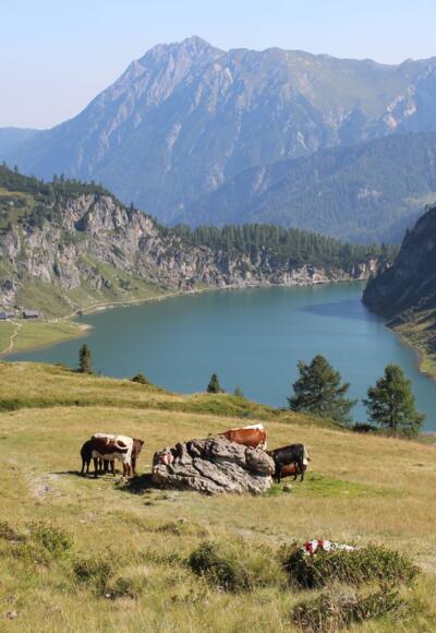 Der Tappenkarsee