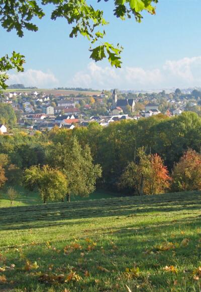 Aussicht Schwertberg