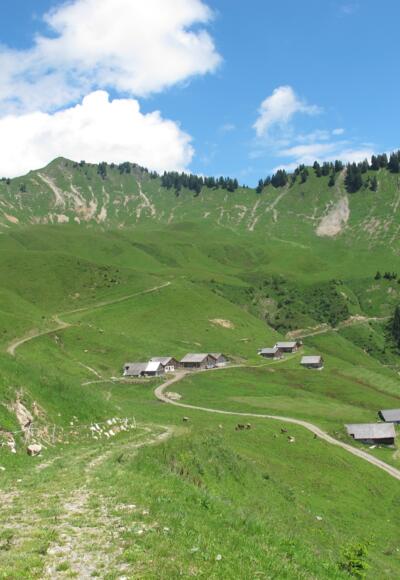 Die Alpe Sentum, eine typische Walser Alpsiedlung. Hier sieht man eindrücklich, wie das Gebiet bis hinauf zum Bergkamm entwaldet wurde. In der Folge entstanden Murenabgänge und im Winter Anrisszonen für Lawinen.