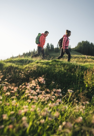 Wandern