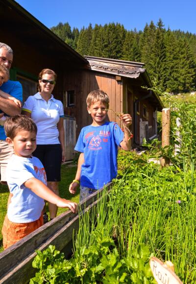 Kräuterwandern mit Kindern