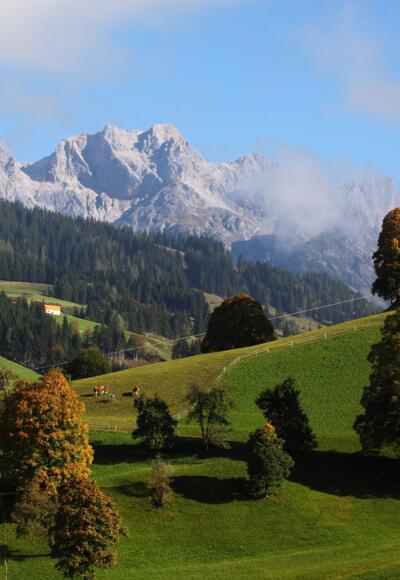 Panoramablick