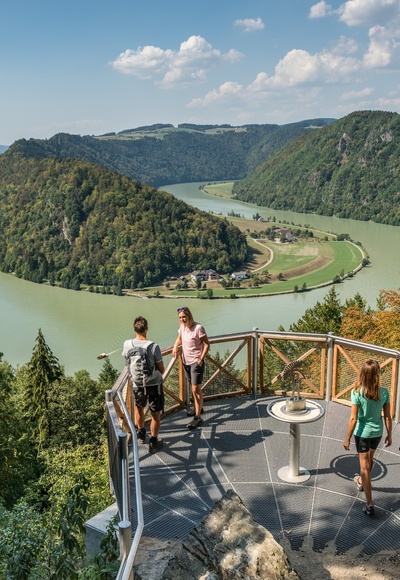 Donausteig - Schlögener Donauschlinge - Schlögener Blick