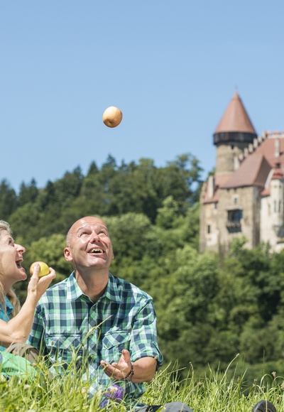 Donausteig: Burg Clam