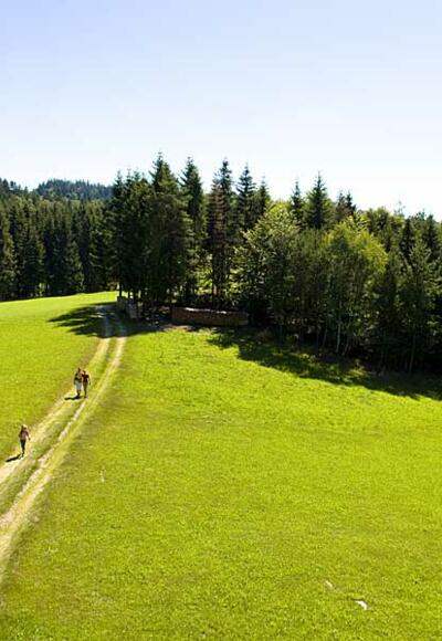 Wandern in Oberoesterreich