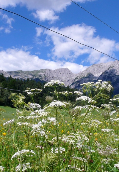 Blick zum Treffauer und Sonneck