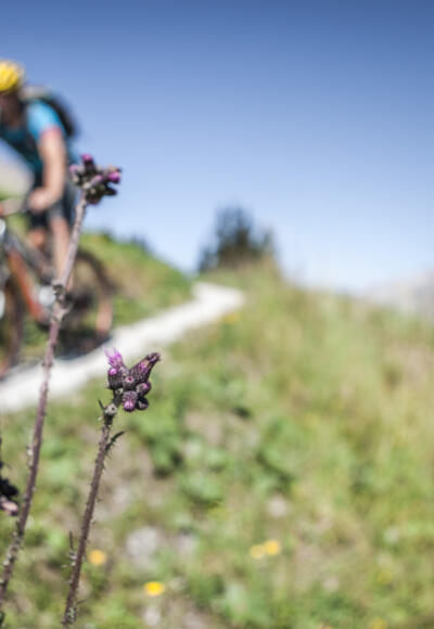 Biken