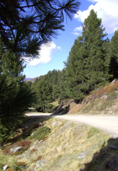 Kreuzjoch
