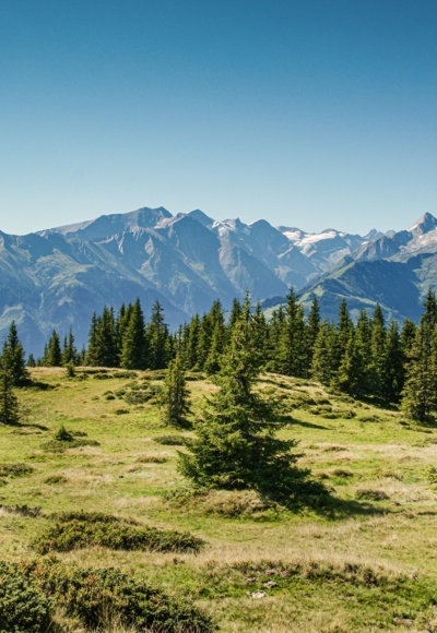 Hochsonnberg