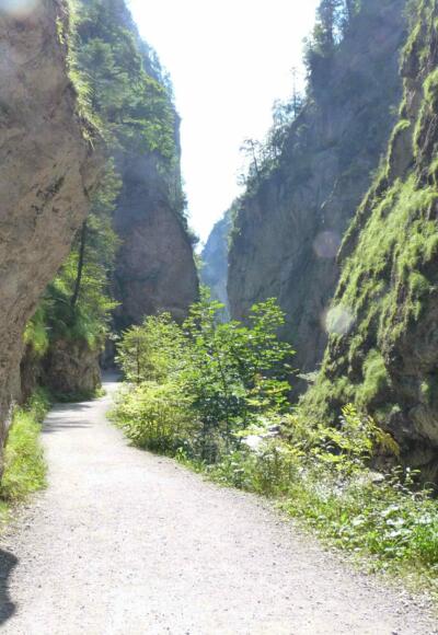 grün und wild windet sich die Klamm