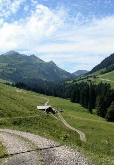 Bödmenalpe