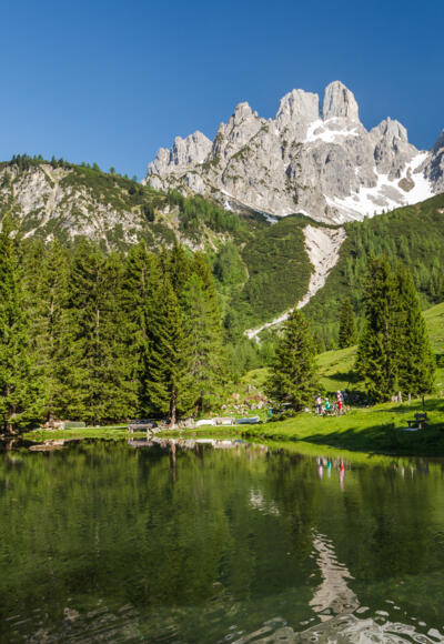 Almsee