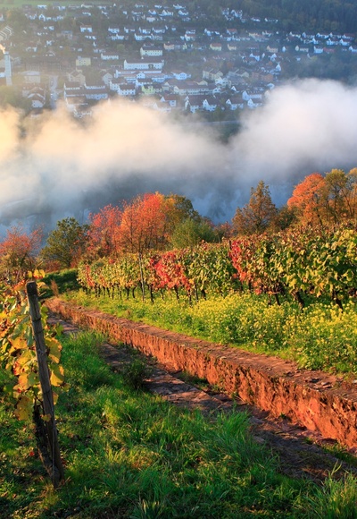 Weinberg Kaffelstein