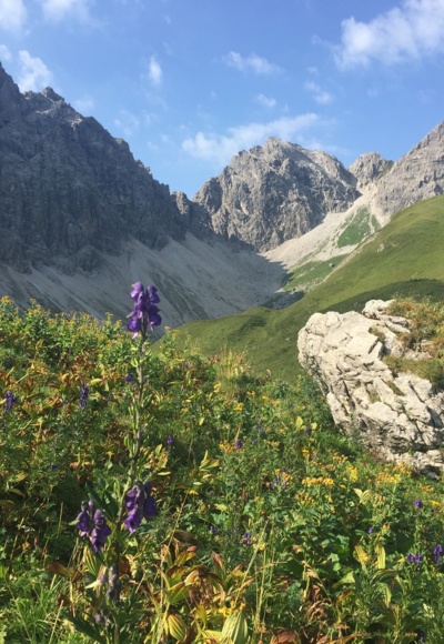 Wanderweg im Kleinwalsertal