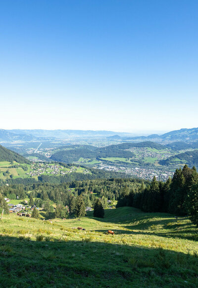 Blick ins Rheintal (c) Lucas Tiefenthaler / Vorarlberg Tourismus