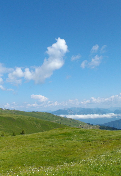Am Schatzberg
