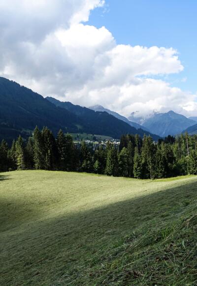 Panorama Straussberg Hörnlepass