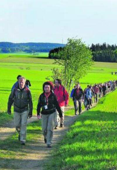 Bei strahlendem Sonnenschein ging&#039;s für die Wanderer in Bad Steben los. Kurz vor dem Langesbühl liegt das Feld noch dicht beieinander.
