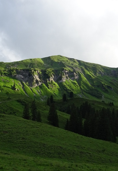 Blick zum Galtjoch