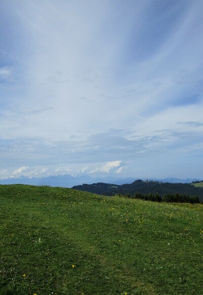 Nun endlich das 3. Gipfelkreuz des Hirschberges mit Blick auf den Pfänder