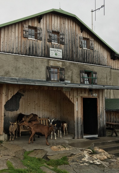 Grenzer Hütte