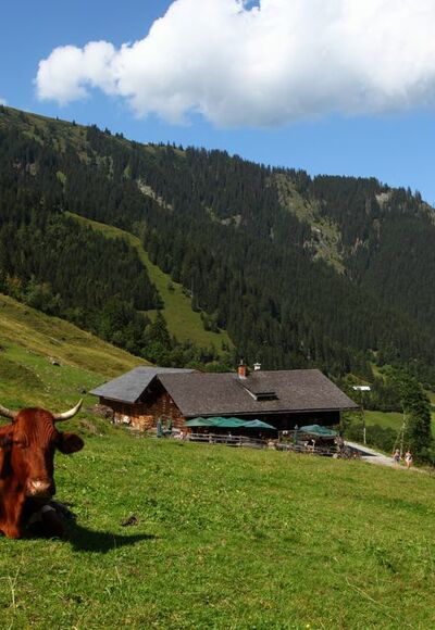 Aigenalm - Paulhütte, 1.280 m