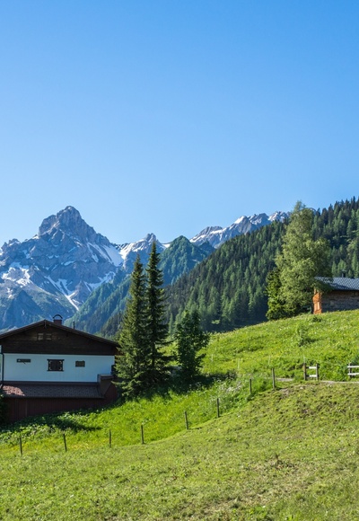 Alpgebiet Burtschaalpe mit Blick auf Zimba