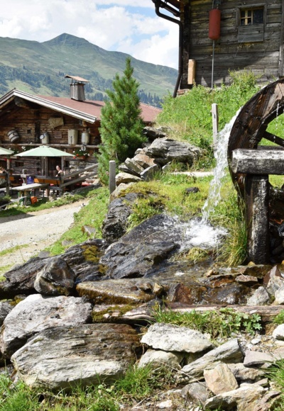 Farmkehralm